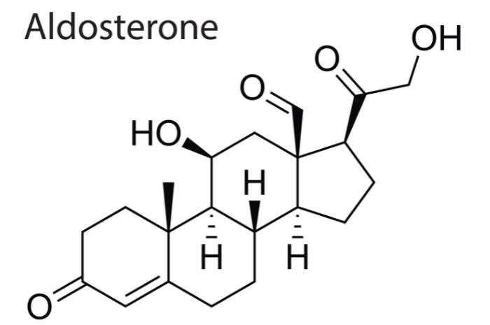 molecola aldosterone