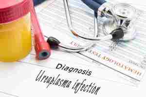 Infezione da ureaplasma