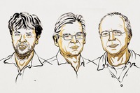 Nobel per la Medicina 2026 a Deisseroth, Hegemann e Nagel per l’optogenetica