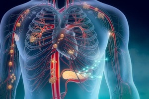 Tumore del pancreas, daraxonrasib raddoppia la sopravvivenza nel metastatico già trattato