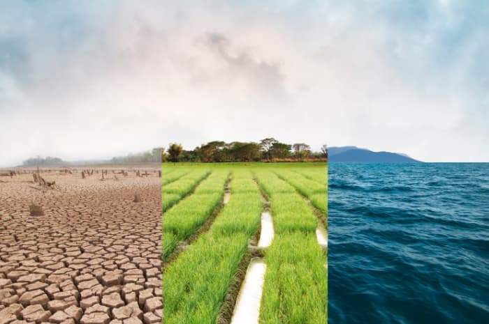 cambiamento climatico salute