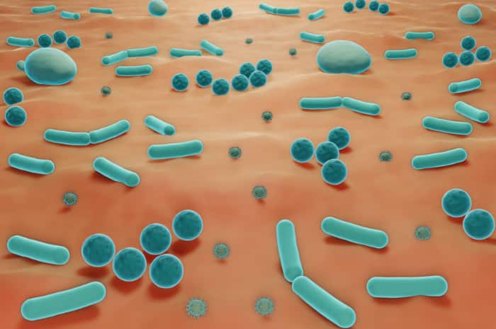 Lesioni cutanee e ruolo del microbiota