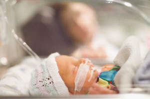 Morfina a neonato, Ipasvi: Prenderemo le misure del caso