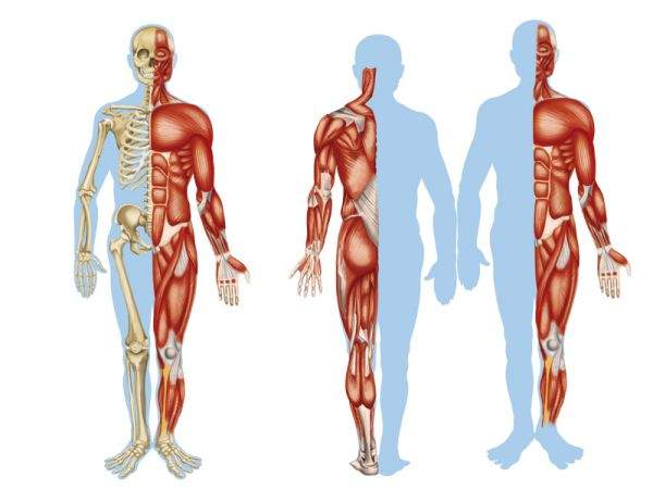 Progetto ricerca: condizioni apparato muscolo-scheletrico personale sanitario